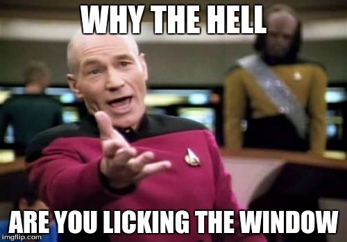 Picard Wtf | WHY THE HELL; ARE YOU LICKING THE WINDOW | image tagged in memes,picard wtf | made w/ Imgflip meme maker