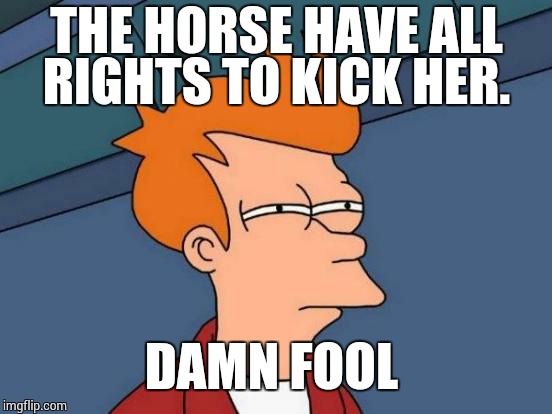 Futurama Fry Meme | THE HORSE HAVE ALL RIGHTS TO KICK HER. DAMN FOOL | image tagged in memes,futurama fry | made w/ Imgflip meme maker