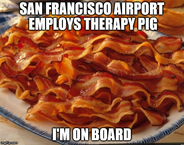 Bacon | SAN FRANCISCO AIRPORT EMPLOYS THERAPY PIG; I'M ON BOARD | image tagged in bacon | made w/ Imgflip meme maker