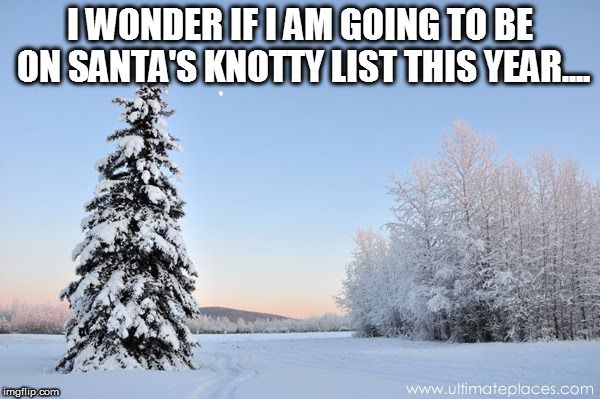 Santa's pretty fired up this season! Maybe it's because he is cold hearted.... | I WONDER IF I AM GOING TO BE ON SANTA'S KNOTTY LIST THIS YEAR.... | image tagged in tree,christmas memes,christmas,memes,funny,puns | made w/ Imgflip meme maker