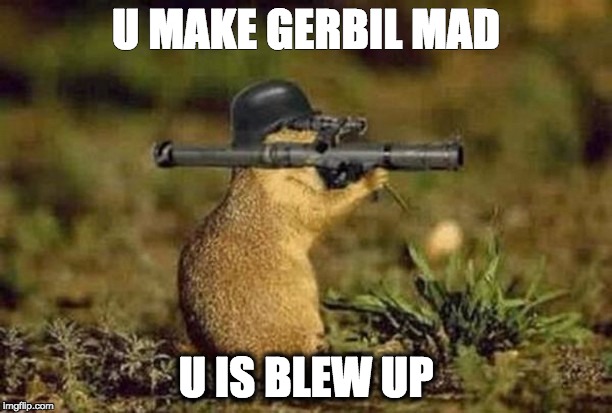 gun gerbil | U MAKE GERBIL MAD; U IS BLEW UP | image tagged in gun gerbil | made w/ Imgflip meme maker