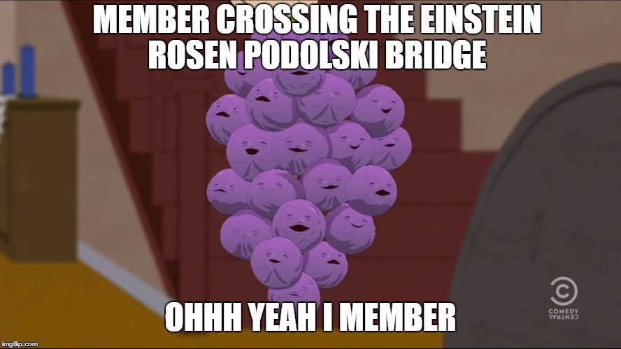 Member Berries | MEMBER CROSSING THE EINSTEIN ROSEN PODOLSKI BRIDGE; OHHH YEAH I MEMBER | image tagged in memes,member berries | made w/ Imgflip meme maker