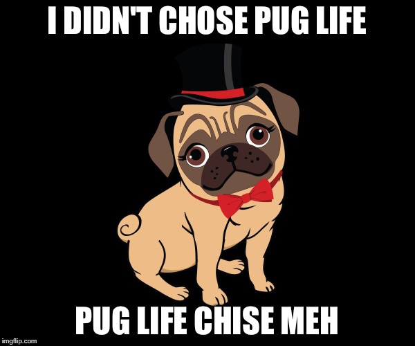 I DIDN'T CHOSE PUG LIFE; PUG LIFE CHISE MEH | image tagged in zed pug life chise meh | made w/ Imgflip meme maker