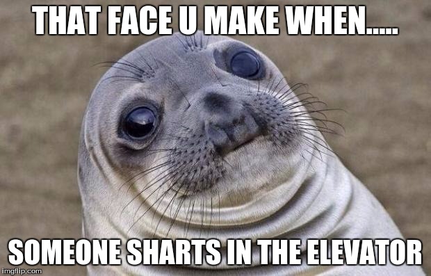 Awkward Moment Sealion | THAT FACE U MAKE WHEN..... SOMEONE SHARTS IN THE ELEVATOR | image tagged in memes,awkward moment sealion | made w/ Imgflip meme maker