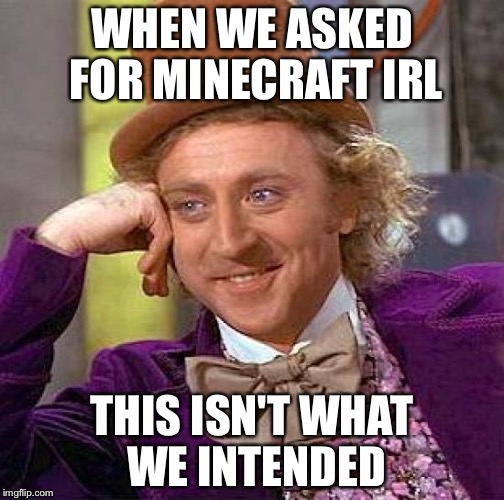 Creepy Condescending Wonka Meme | WHEN WE ASKED FOR MINECRAFT IRL; THIS ISN'T WHAT WE INTENDED | image tagged in memes,creepy condescending wonka | made w/ Imgflip meme maker