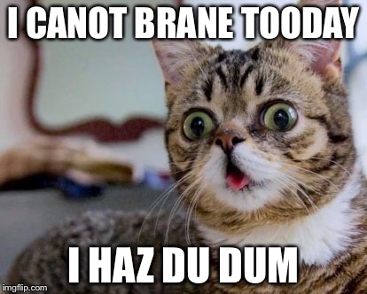 Derpy cat | I CANOT BRANE TOODAY; I HAZ DU DUM | image tagged in derpy cat | made w/ Imgflip meme maker