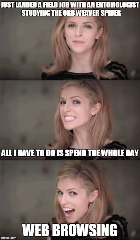 Easy Money | JUST LANDED A FIELD JOB WITH AN ENTOMOLOGIST  STUDYING THE ORB WEAVER SPIDER; ALL I HAVE TO DO IS SPEND THE WHOLE DAY; WEB BROWSING | image tagged in memes,bad pun anna kendrick | made w/ Imgflip meme maker