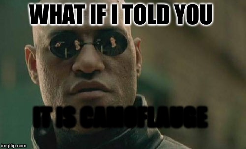 Matrix Morpheus Meme | WHAT IF I TOLD YOU IT IS CAMOFLAUGE | image tagged in memes,matrix morpheus | made w/ Imgflip meme maker