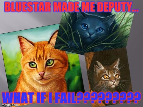 bluestar made firestar deputy | BLUESTAR MADE ME DEPUTY... WHAT IF I FAIL????????? | image tagged in warrior cats,firestar | made w/ Imgflip meme maker