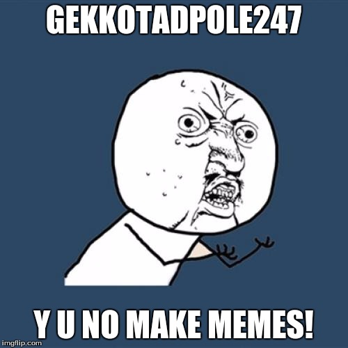 Y U No Meme | GEKKOTADPOLE247 Y U NO MAKE MEMES! | image tagged in memes,y u no | made w/ Imgflip meme maker