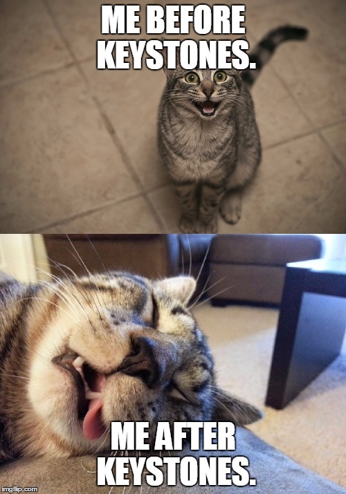 excited exhausted cats | ME BEFORE KEYSTONES. ME AFTER KEYSTONES. | image tagged in excited exhausted cats | made w/ Imgflip meme maker