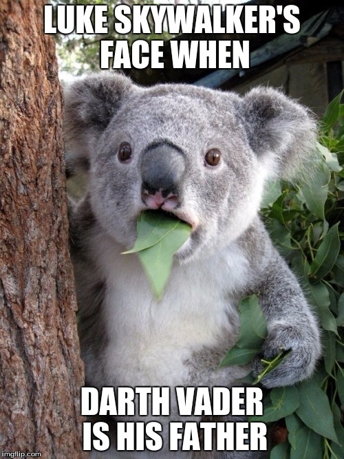 Surprised Koala | LUKE SKYWALKER'S FACE WHEN; DARTH VADER IS HIS FATHER | image tagged in memes,surprised coala | made w/ Imgflip meme maker