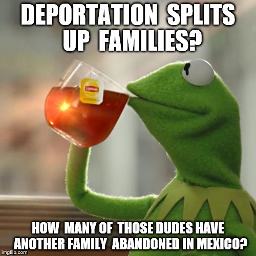 But That's None Of My Business Meme | DEPORTATION  SPLITS  UP  FAMILIES? HOW  MANY OF  THOSE DUDES HAVE  ANOTHER FAMILY  ABANDONED IN MEXICO? | image tagged in memes,but thats none of my business,kermit the frog | made w/ Imgflip meme maker