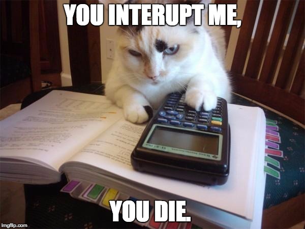 Math cat | YOU INTERUPT ME, YOU DIE. | image tagged in math cat | made w/ Imgflip meme maker