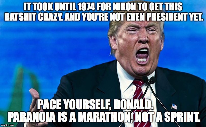 Pace_Yourself_Donald | IT TOOK UNTIL 1974 FOR NIXON TO GET THIS BATSHIT CRAZY. AND YOU'RE NOT EVEN PRESIDENT YET. PACE YOURSELF, DONALD.        PARANOIA IS A MARATHON, NOT A SPRINT. | image tagged in pace_yourself_donald | made w/ Imgflip meme maker