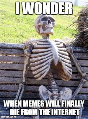 Waiting Skeleton | I WONDER; WHEN MEMES WILL FINALLY DIE FROM THE INTERNET | image tagged in memes,waiting skeleton | made w/ Imgflip meme maker