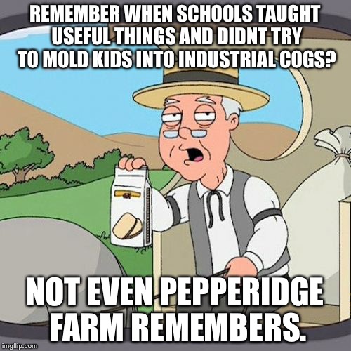 Pepperidge Farm Remembers Meme |  REMEMBER WHEN SCHOOLS TAUGHT USEFUL THINGS AND DIDNT TRY TO MOLD KIDS INTO INDUSTRIAL COGS? NOT EVEN PEPPERIDGE FARM REMEMBERS. | image tagged in memes,pepperidge farm remembers | made w/ Imgflip meme maker