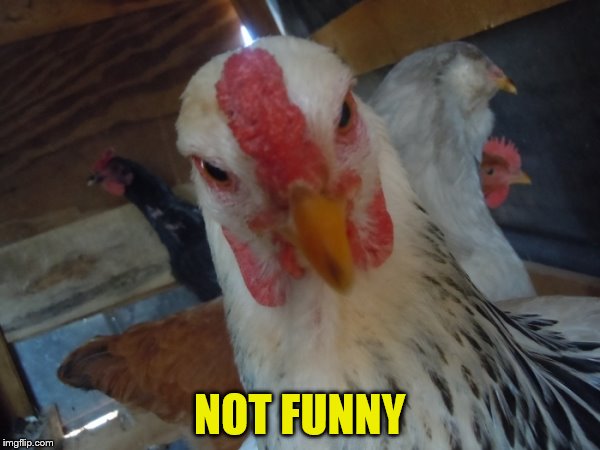 NOT FUNNY | made w/ Imgflip meme maker