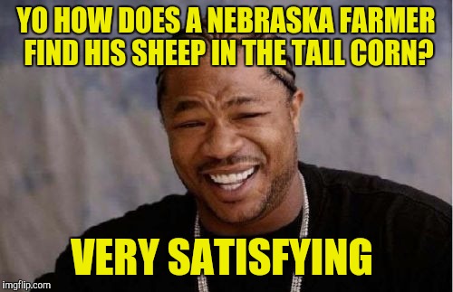 Yo Dawg Heard You Meme | YO HOW DOES A NEBRASKA FARMER FIND HIS SHEEP IN THE TALL CORN? VERY SATISFYING | image tagged in memes,yo dawg heard you | made w/ Imgflip meme maker