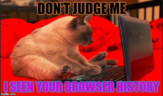 why | DON'T JUDGE ME; I SEEN YOUR BROWSER HISTORY | image tagged in popo | made w/ Imgflip meme maker