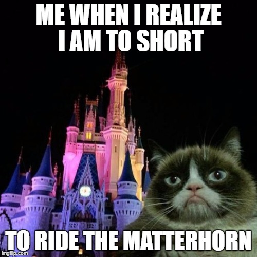 Grumpy Cat Disneyland castle | ME WHEN I REALIZE I AM TO SHORT; TO RIDE THE MATTERHORN | image tagged in grumpy cat disneyland castle | made w/ Imgflip meme maker