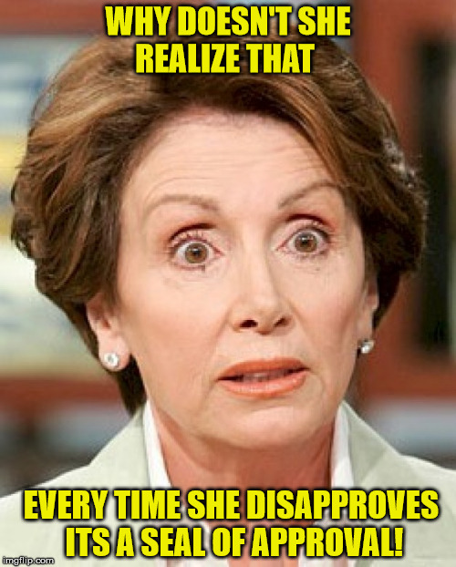 Shocked Pelosi | WHY DOESN'T SHE REALIZE THAT; EVERY TIME SHE DISAPPROVES  ITS A SEAL OF APPROVAL! | image tagged in shocked pelosi | made w/ Imgflip meme maker