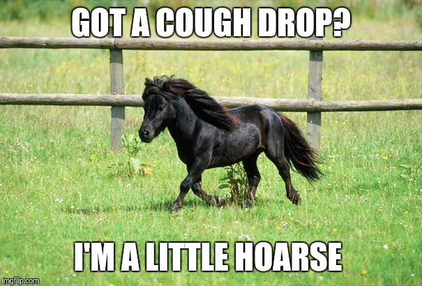 Punny Lil fella | GOT A COUGH DROP? I'M A LITTLE HOARSE | image tagged in memes | made w/ Imgflip meme maker