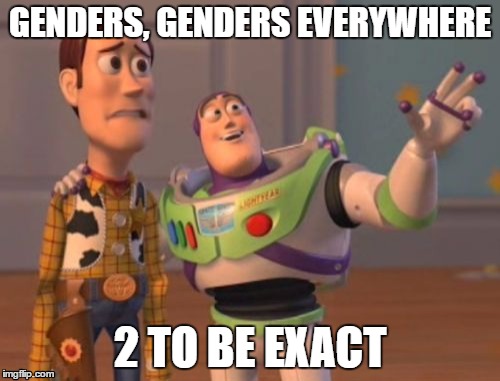 X, X Everywhere | GENDERS, GENDERS EVERYWHERE; 2 TO BE EXACT | image tagged in memes,x x everywhere | made w/ Imgflip meme maker