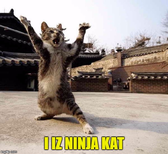 I IZ NINJA KAT | made w/ Imgflip meme maker