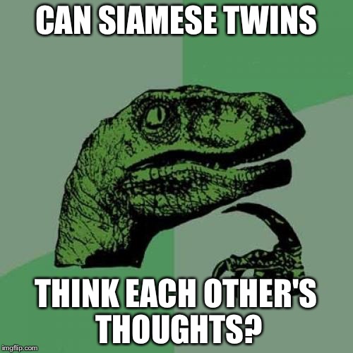 Thanks to AndrewFinlayson's comment for inspiration! | CAN SIAMESE TWINS; THINK EACH OTHER'S THOUGHTS? | image tagged in memes,philosoraptor | made w/ Imgflip meme maker