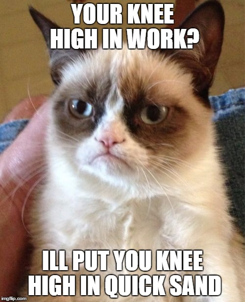 Grumpy Cat | YOUR KNEE HIGH IN WORK? ILL PUT YOU KNEE HIGH IN QUICK SAND | image tagged in memes,grumpy cat | made w/ Imgflip meme maker