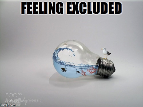 Light Headed | FEELING EXCLUDED | image tagged in seagull | made w/ Imgflip meme maker