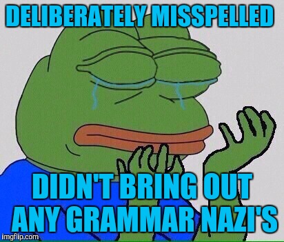 crying pepe |  DELIBERATELY MISSPELLED; DIDN'T BRING OUT ANY GRAMMAR NAZI'S | image tagged in crying pepe | made w/ Imgflip meme maker
