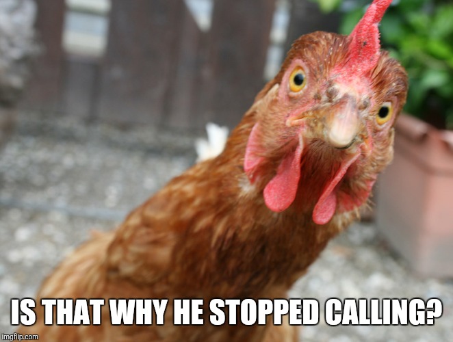 IS THAT WHY HE STOPPED CALLING? | made w/ Imgflip meme maker