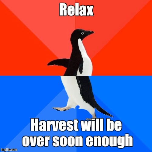 Socially Awesome Awkward Penguin Meme | Relax Harvest will be over soon enough | image tagged in memes,socially awesome awkward penguin | made w/ Imgflip meme maker