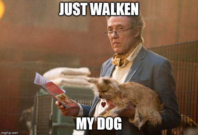 Probably a repost but what the heck | JUST WALKEN; MY DOG | image tagged in memes,christopher walken | made w/ Imgflip meme maker