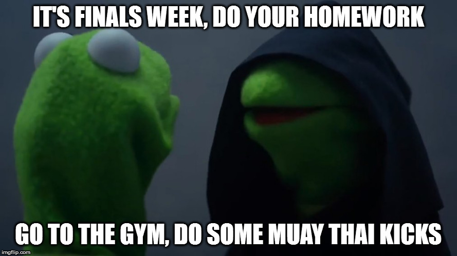 IT'S FINALS WEEK, DO YOUR HOMEWORK; GO TO THE GYM, DO SOME MUAY THAI KICKS | image tagged in muay thai,mma,ufc,finals,homework,kermit the frog | made w/ Imgflip meme maker