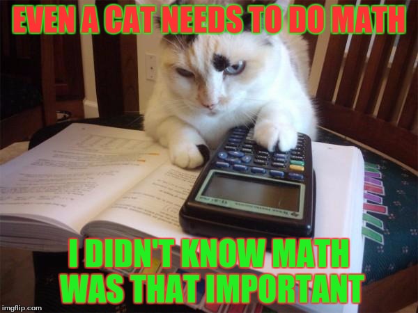 Math cat | EVEN A CAT NEEDS TO DO MATH; I DIDN'T KNOW MATH WAS THAT IMPORTANT | image tagged in math cat | made w/ Imgflip meme maker
