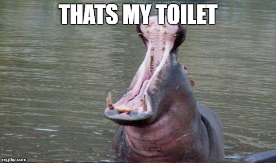 THATS MY TOILET | made w/ Imgflip meme maker