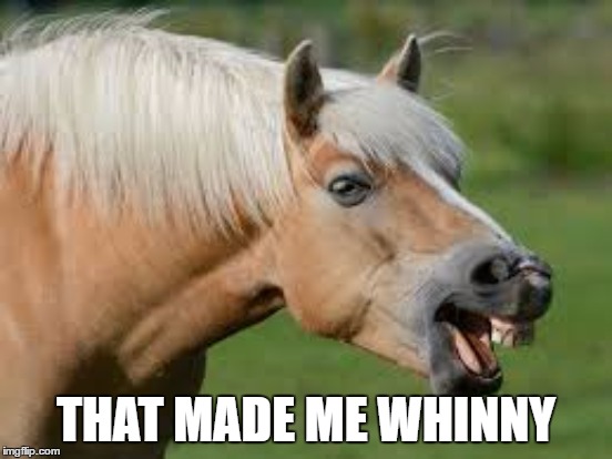 THAT MADE ME WHINNY | made w/ Imgflip meme maker