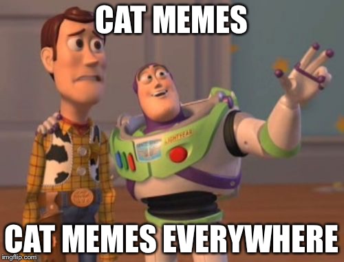 X, X Everywhere | CAT MEMES; CAT MEMES EVERYWHERE | image tagged in memes,x x everywhere | made w/ Imgflip meme maker