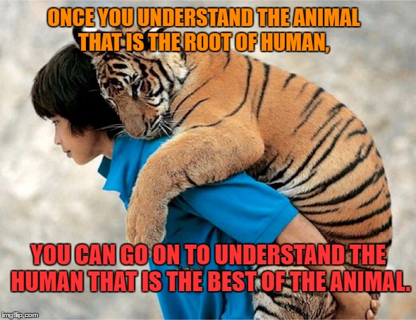 Friends |  ONCE YOU UNDERSTAND THE ANIMAL THAT IS THE ROOT OF HUMAN, YOU CAN GO ON TO UNDERSTAND THE HUMAN THAT IS THE BEST OF THE ANIMAL. | image tagged in people and animals,tiger,human nature,evolve | made w/ Imgflip meme maker