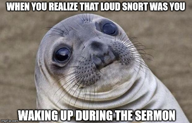 Pardon me, Padre! | WHEN YOU REALIZE THAT LOUD SNORT WAS YOU; WAKING UP DURING THE SERMON | image tagged in memes,awkward moment sealion,sleeping,church | made w/ Imgflip meme maker