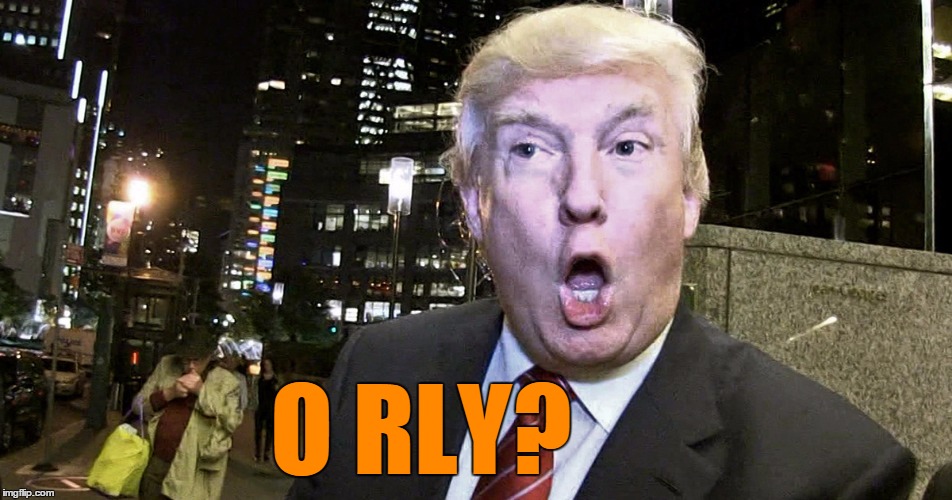 Trump Surprised | O RLY? | image tagged in trump surprised | made w/ Imgflip meme maker