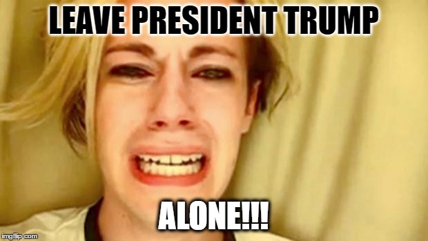 You Crummy Demorats! |  LEAVE PRESIDENT TRUMP; ALONE!!! | image tagged in leave brittany alone,memes,funny memes,trump | made w/ Imgflip meme maker