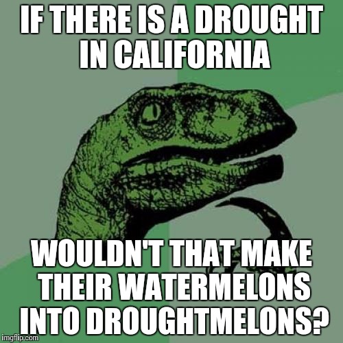 Philosoraptor | IF THERE IS A DROUGHT IN CALIFORNIA; WOULDN'T THAT MAKE THEIR WATERMELONS INTO DROUGHTMELONS? | image tagged in memes,philosoraptor | made w/ Imgflip meme maker