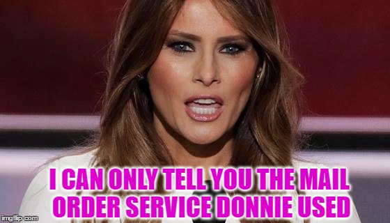 I CAN ONLY TELL YOU THE MAIL ORDER SERVICE DONNIE USED | made w/ Imgflip meme maker