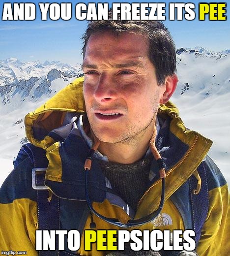 AND YOU CAN FREEZE ITS PEE INTO PEEPSICLES PEE PEE | made w/ Imgflip meme maker