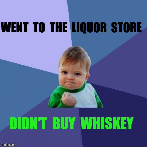 Success Single Guy | WENT  TO  THE  LIQUOR  STORE; DIDN'T  BUY  WHISKEY | image tagged in memes,success kid,whiskey,liquor,liquor store | made w/ Imgflip meme maker