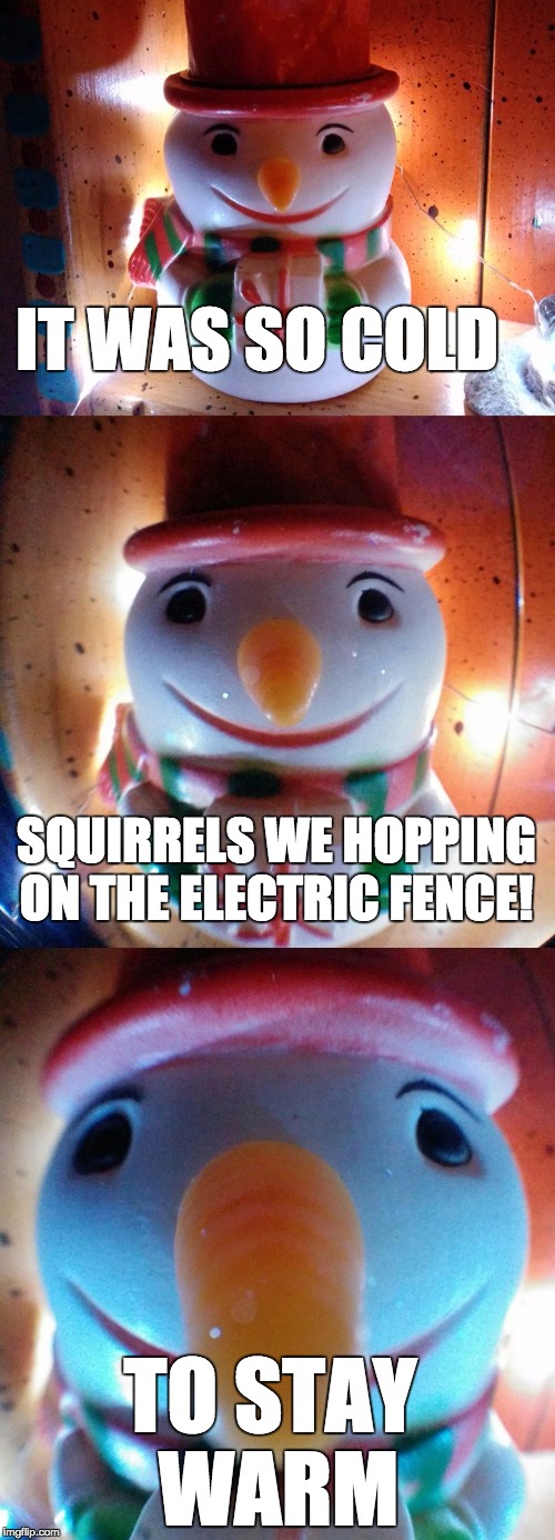 It was so cold... fence. | IT WAS SO COLD; SQUIRRELS WE HOPPING ON THE ELECTRIC FENCE! TO STAY WARM | image tagged in snow joke,letsgetwordy,squirrel,electric fence,cold,snowman | made w/ Imgflip meme maker